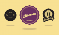 WPMU DEV - Branda (Ultimate Branding)