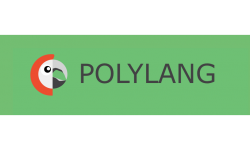 SearchWP - Polylang Integration