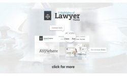 AIT Lawyer