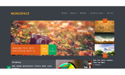 MyThemeShop Monospace