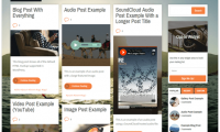 Thrive Themes - Storied