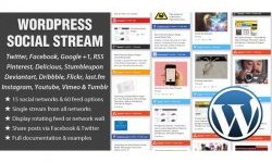 WordPress Social Stream