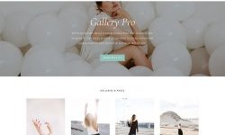 StudioPress Gallery Pro Theme