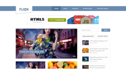 MyThemeShop Flick