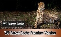 WP Fastest Cache Premium