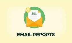 Give - Email Reports