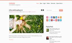 MyThemeShop Pureview
