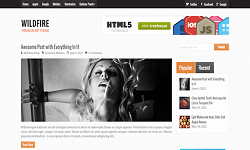 MyThemeShop Wildfire