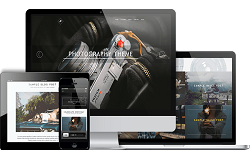 ThemeIsle - RokoPhoto PRO