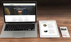 ThemeIsle - Naturelle Pro