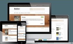 ThemeIsle - BookRev Pro