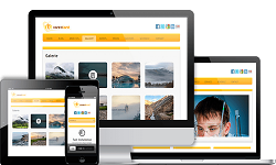 ThemeIsle - Caresland Pro