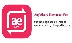 AnyWhere Elementor Pro