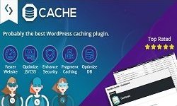 Borlabs Cache - WordPress Caching Plugin