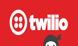 Ninja Forms - Twilio SMS Addon