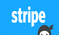 Ninja Forms - Stripe Addon
