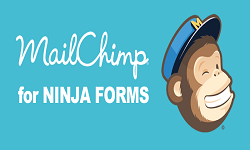 Ninja Forms - MailChimp Addon