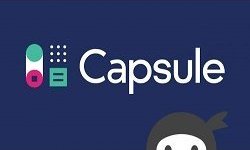 Ninja Forms - Capsule CRM Addon