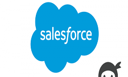 Ninja Forms - Salesforce CRM Addon