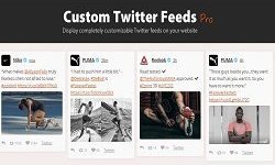 Custom Twitter Feeds Pro
