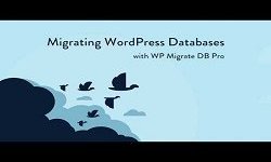 WP Migrate DB Pro