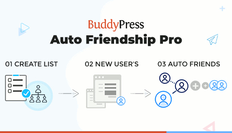 BuddyPress Auto Friendship Pro